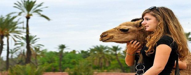 Camel Ride Marrakech Palm Grove