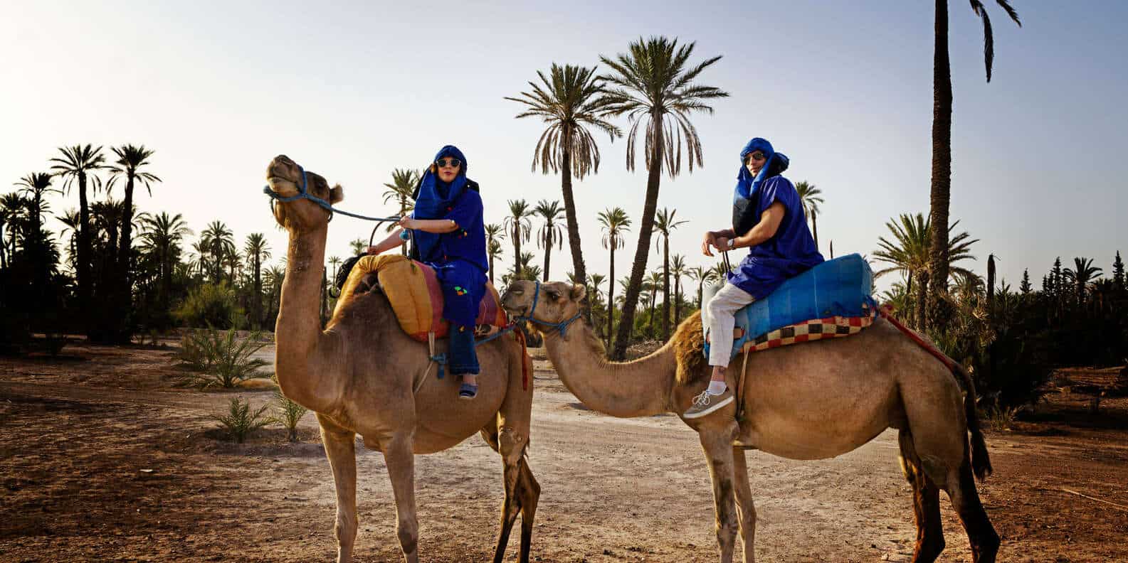 Marrakech Palmeraie camel Ride