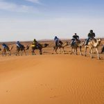 Private & Shared Marrakech desert tours Overnight camel trekking Merzouga